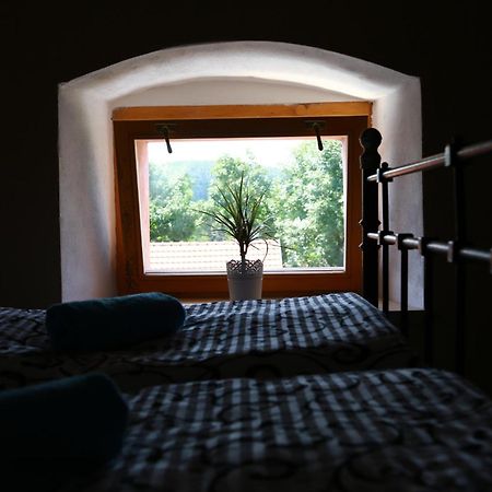 Hotel Zámek Libouň Louňovice pod Blaníkem Esterno foto