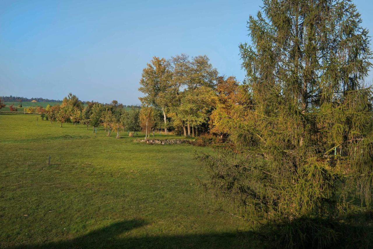 Hotel Zámek Libouň Louňovice pod Blaníkem Esterno foto