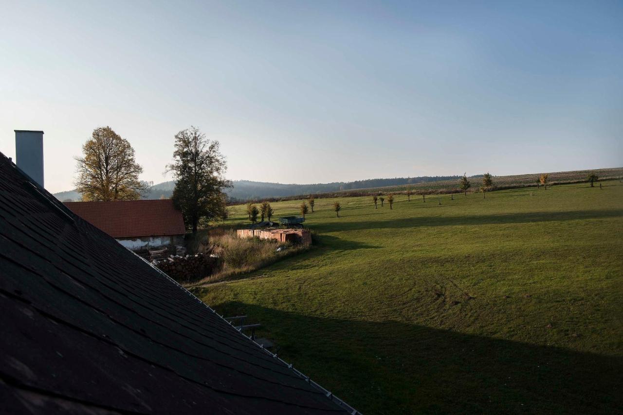 Hotel Zámek Libouň Louňovice pod Blaníkem Esterno foto