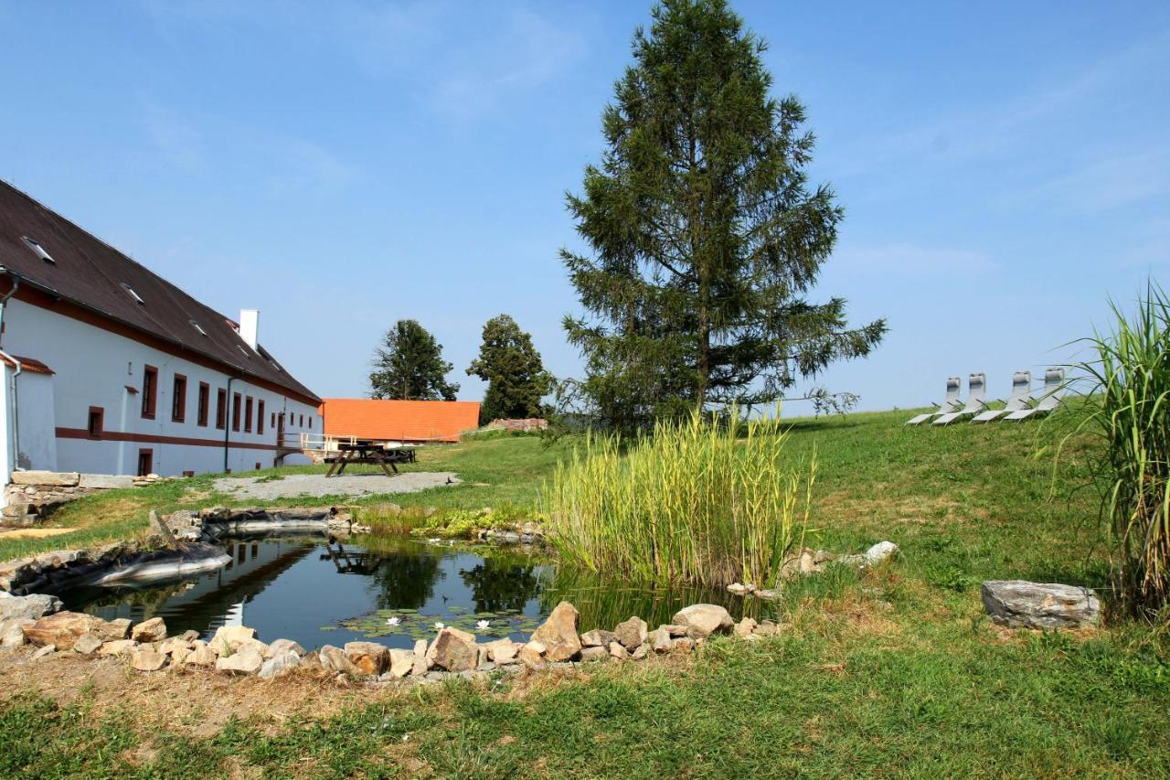 Hotel Zámek Libouň Louňovice pod Blaníkem Esterno foto